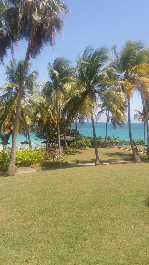 Studio En Bord De Mer - Residence La Vieille Tour 哥西尔 外观 照片