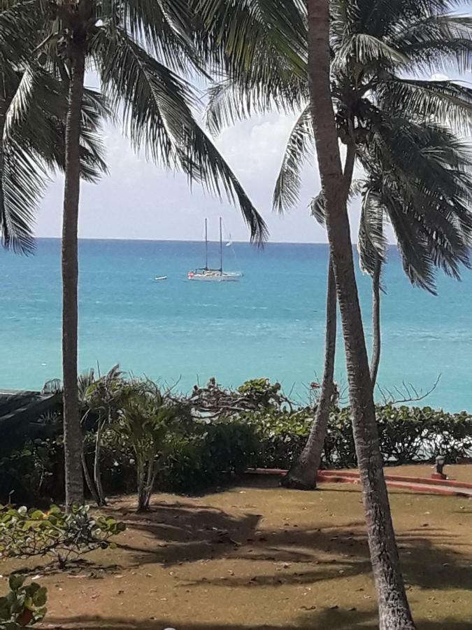 Studio En Bord De Mer - Residence La Vieille Tour 哥西尔 外观 照片