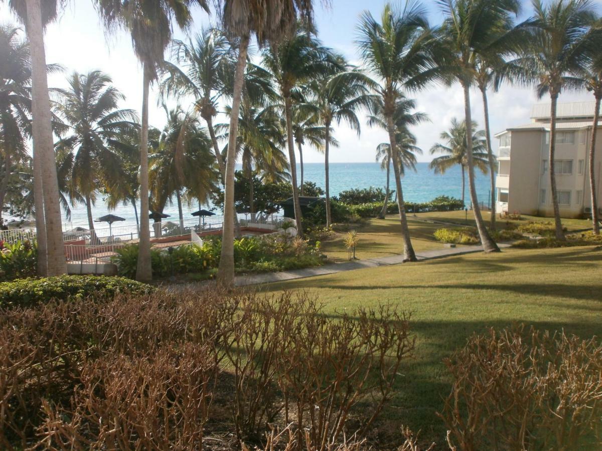 Studio En Bord De Mer - Residence La Vieille Tour 哥西尔 外观 照片