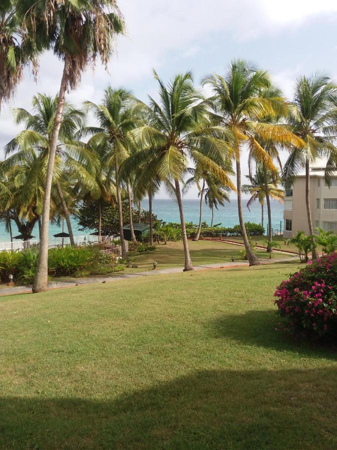 Studio En Bord De Mer - Residence La Vieille Tour 哥西尔 外观 照片